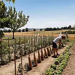 Perets Petit * Montegut-Lauragais