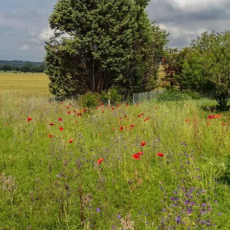 Perets Petit Semesterbostad
