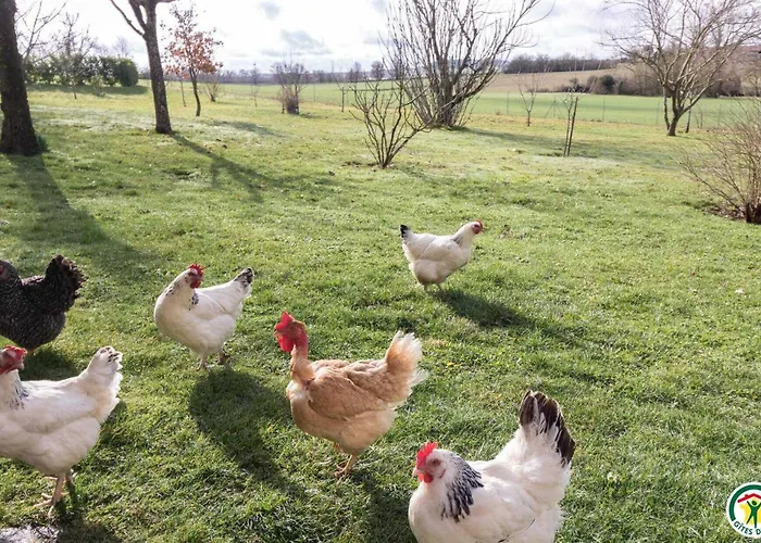 Perets Petit * Montégut-Lauragais