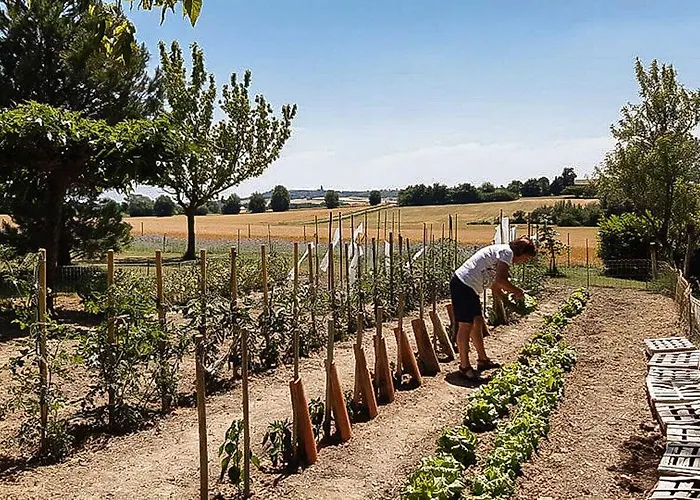 Perets Petit * Montegut-Lauragais